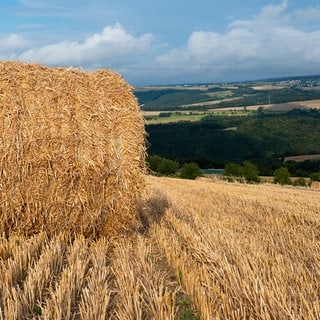 Strohballen auf dem Feld. Symbolfoto