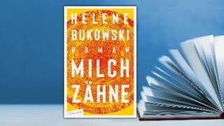 Buch-Cover des Romans "Milchzähne" von Helene Bukowski