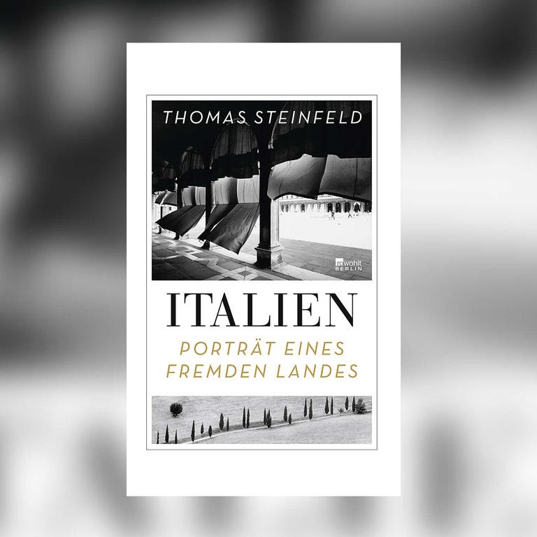 Thomas Steinfeld: Italien - Porträt eines fremden Landes