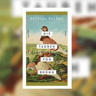 Bettina Balàka: Die Tauben von Brünn
