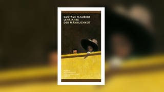Gustave Flaubert - Lehrjahre der Männlichkeit