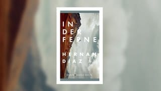 Hernan Diaz - In der Ferne