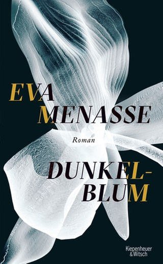 Eva Menasse - Dunkelbum