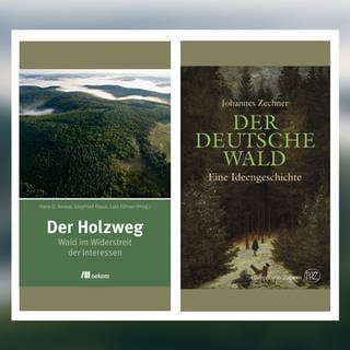 Der Holzweg UND Der deutsche Wald