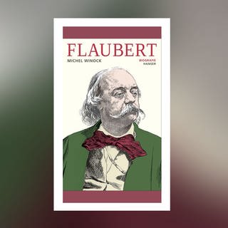 Michel Winock - Flaubert