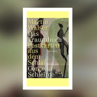 Martin Walser, Cornelia Schleime - Das Traumbuch. Postkarten aus dem Schlaf