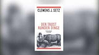 Cover zum Erzählband "Der Trost runder Dinge" von Clemens Setz