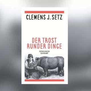 Cover zum Erzählband "Der Trost runder Dinge" von Clemens Setz