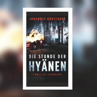 Johannes Groschupf - Die Stunde der Hyänen