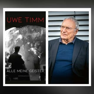 Uwe Timm - Alle meine Geister