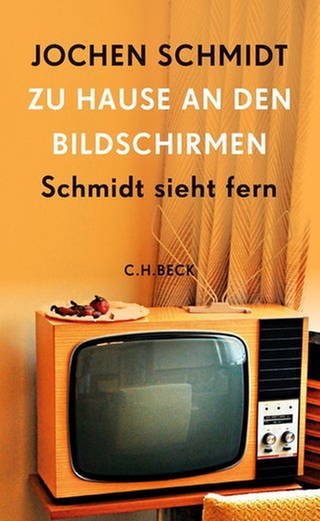 Jochen Schmidt – Zu Hause an den Bildschirmen. Schmidt sieht fern