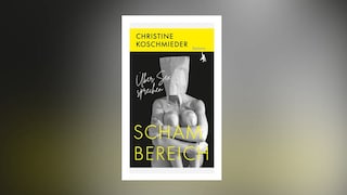 Christine Koschmieder Schambereich Über Sex sprechen SWR Kultur 