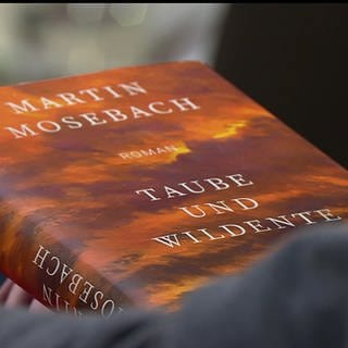 Im "lesenswert" Quartett besprochen: Der Roman von Martin Mosebach: "Taube und Wildente" 