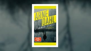 Arne Dahl – Stummer Schrei. Eva Nymans erster Fall