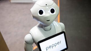 Roboter Pepper