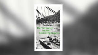 Cover: Zsófia Bán: Der Sommer unsres Missvergnügens
