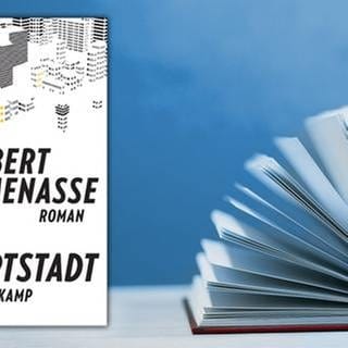 Buchcover Robert Menasse "Die Hauptstadt"