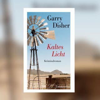 Garry Disher: Kaltes Licht