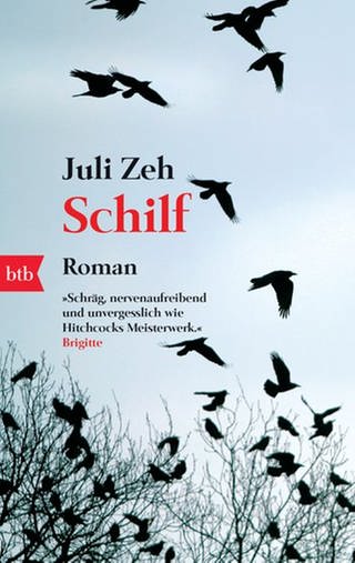 Buchcover "Schilf" 