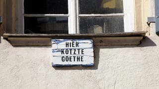 Ein Pappschild mit der Aufschrift "Hier kotzte Goethe" unter einem Fenster an einer Hauswand