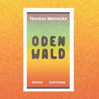 Cover des Buches Thomas Meinecke - Odenwald