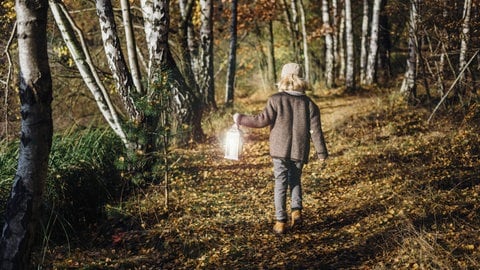 Junge mit Laterne im Wald