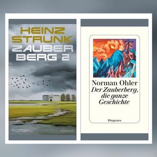 Norman Ohler - Der Zauberberg, die ganze Geschichte | Heinz Strunk - Zauberberg 2