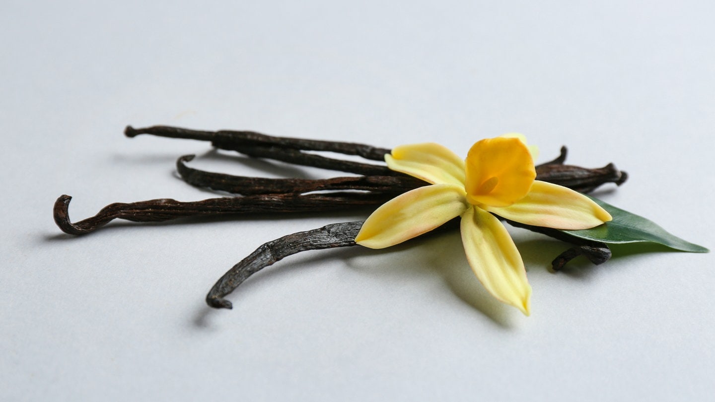 Vanilla sticks and flower on light background