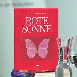 Cover des Buches Johanne Lykke Holm: Rote Sonne