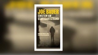 Joe Bauer – Einstein am Stuttgartstrand