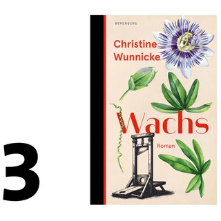 Cover des Buches Christine Wunnicke: Wachs