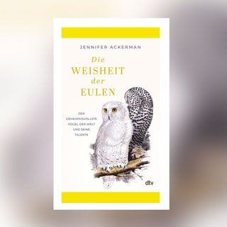 Jennifer Ackermann: Die Weisheit der Eulen – Der geheimnisvollste Vogel der Welt und seine Talente