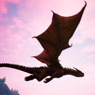 Drachen