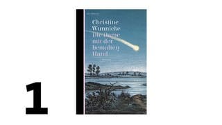 Cover des Buches Christine Wunnicke: Die Dame mit der bemalten Hand 