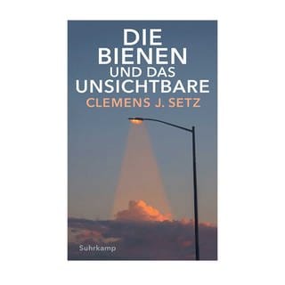 Cover des Buches Clemens J. Setz: Die Bienen und das Unsichtbare
