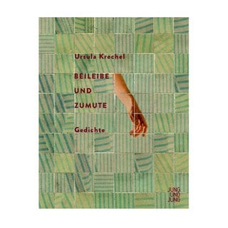 Cover des Buchs Ursula Krechel: Beileibe und Zumute