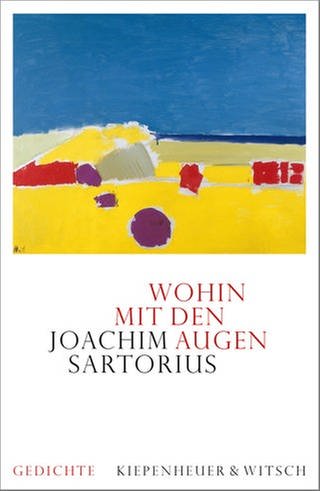 Cover des Buches Joachim Sartorius: Wohin mit den Augen