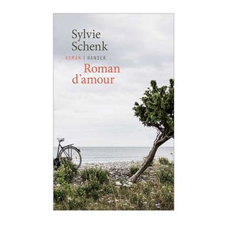 Cover des Buches Sylvie Schenk: Roman d’amour