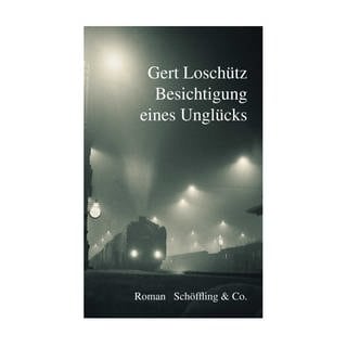 Cover des Buches Gert Loschütz: Besichtigung eines Unglücks
