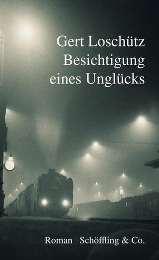 Cover des Buches Gert Loschütz: Besichtigung eines Unglücks