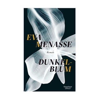 Cover des Buches Eva Menasse: Dunkelblum