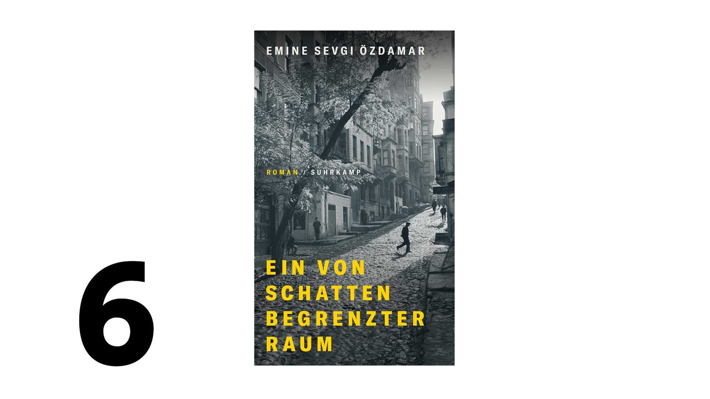 Cover des Buches Emine Sevgi Özdamar: Ein von Schatten begrenzter Raum