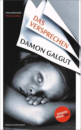 Cover de Buches Damon Galgut: Das Versprechen