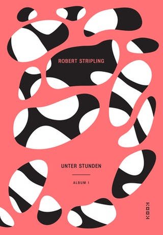 Cover des Buches Robert Stripling: Unter Stunden - Album I