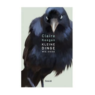 Cover des Buches Claire Keegan: Kleine Dinge wie diese