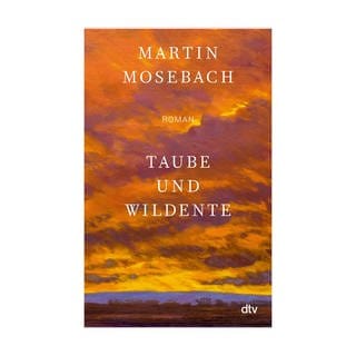 Cover des Buches Martin Mosebach: Taube und Wildente