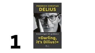 Friedrich Christian Delius: Darling, it's Dilius. Erinnerungen mit großem A