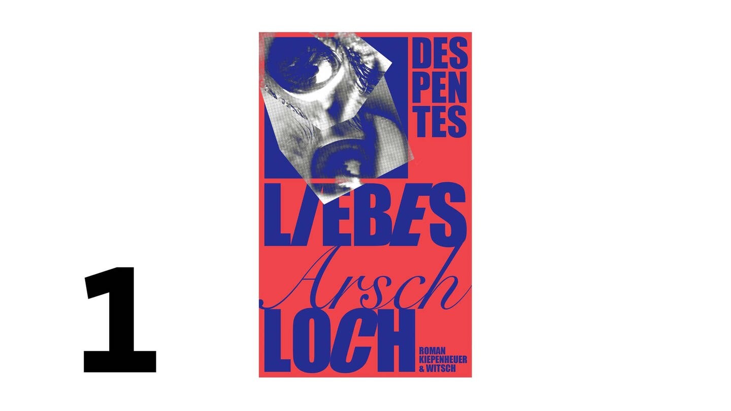 Cover des Buches: Virginie Despentes: Liebes Arschloch