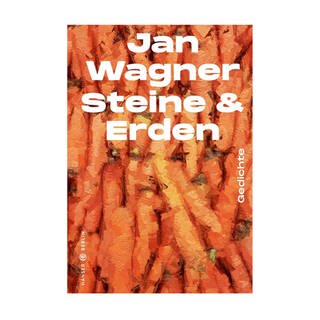 Cover des Buches "Steine & Erden" von Jan Wagner