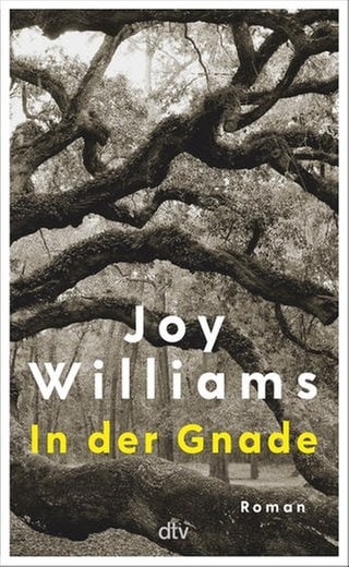 Cover des Buches "In der Gnade" von Joy Williams